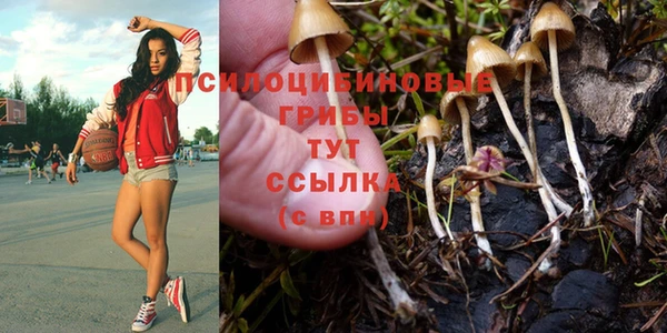 гашишное масло Ельня