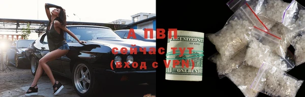 прущий лед Дмитровск