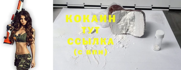 эйфоретик Дмитров