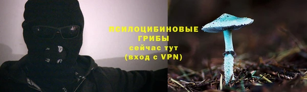 тгк Дмитриев