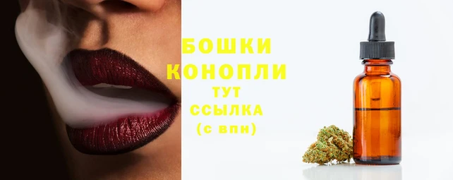 прущий лед Дмитровск