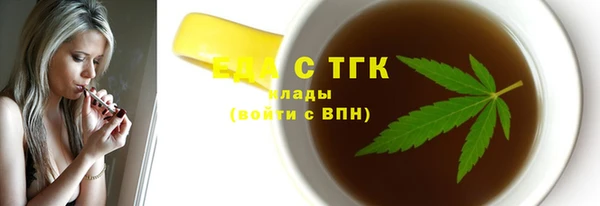 тгк Дмитриев