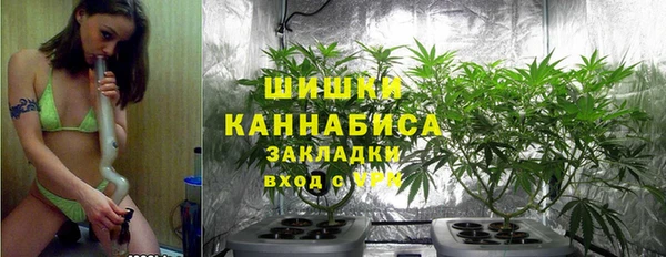 эйфоретик Дмитров