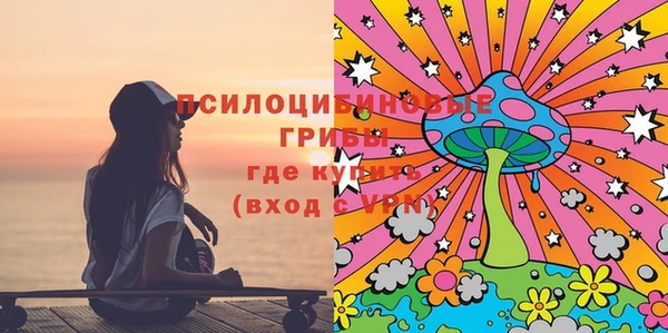 тгк Дмитриев