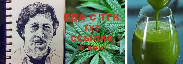 тгк Дмитриев
