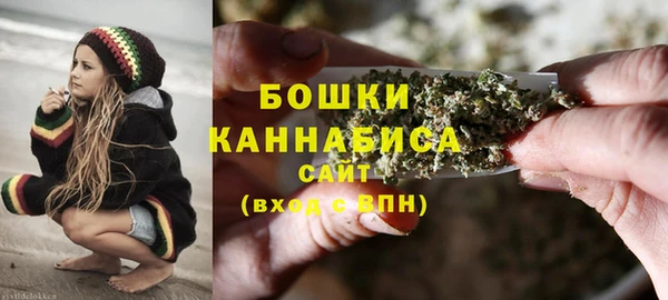 тгк Дмитриев